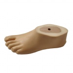 Prosthetic Sach Foot