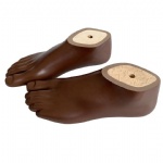 Brown Prosthetic Sach Foot