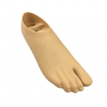Prosthetic Single Axis Foot