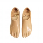 Prosthetic Double Axis Foot
